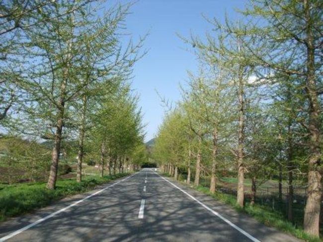 母のふるさとの近くのキャンプ場で母子キャンプしました。GW初日でしたが空いていて快適に過ごせました。<br />空が青くて、空気が美味しい。こんなとこでゆっくりと過ごしたい!と強く思いました。