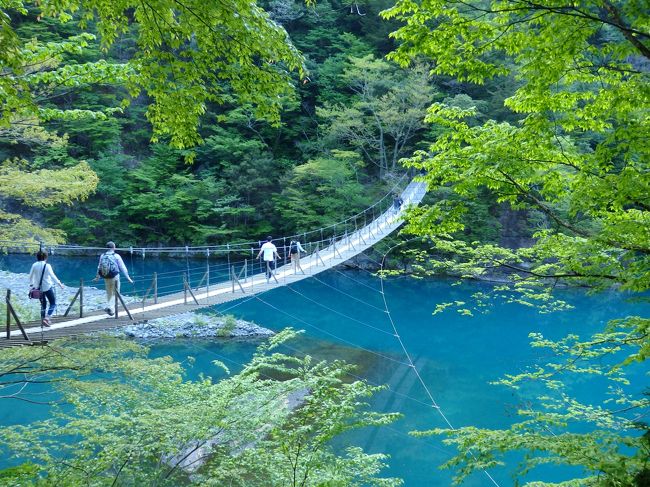 以前から訪れてみたかった寸又峡や奥大井湖上駅を目指す大井川鐡道の旅。<br />エメラルドグリーンの湖に浮かぶ奥大井湖上駅の絶景を目に焼き付けた後は、寸又峡温泉へ。憧れだった青く美しい湖にかかる夢の吊り橋。もともとの計画では、翌朝の空いている時間に歩くつもりでした。しかし、２日目の天気予報が悪かったため、ゴールデンウィークの混雑覚悟で初日午後に強行！！<br />トリップアドバイザーで「死ぬまでに渡りたい世界の徒歩吊り橋１０」に選ばれた橋の人気はやはり凄まじく、、ほぼ３時間待ち（我ながらよく頑張った…）で渡り、宿へ向かいました。<br /><br />宿泊したのは家庭的な温泉民宿。肌がすべすべになるトロトロの寸又峡温泉や山の幸を楽しみました。２日目は朝のうちは天気が持ったので、予定変更したことを少々悔やみつつ、、寸又峡にもう一つある吊橋、猿並（さんのみ）橋へ。登山道の入口にあたるこの吊橋は訪れる人もほとんどおらず、貸切状態！散策後は美女つくりの湯・町営露天風呂で汗を流し、千頭へ向かいました。<br />Vol．2はここまでの記録です。<br /><br />よろしければご覧ください～。