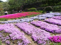 滝谷花しょうぶ園の芝桜2017