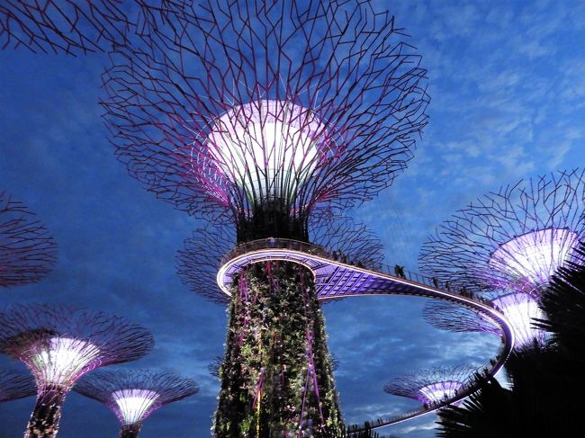 17年ぶりのシンガポール【５】夜景、主にガーデン・バイ・ザ・デイとリバー・クルーズ