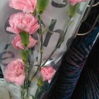 母の日ミステリー