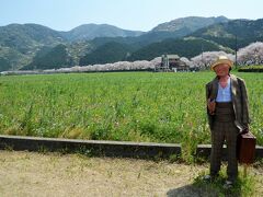 田んぼをつかった花畑