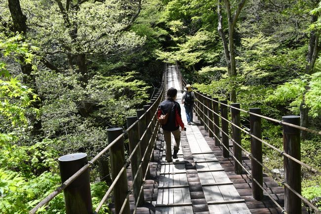 ゴールデンウィークは常磐線沿線を旅してきました。<br />NHK朝ドラ「ひよっこ」にちなんで日立・高萩を巡りました。<br />本当は大子町までドライブしようと思っていたのですが、観光スポットの中にはひどく人が集中するところがあり、そうしたところは渋滞や行列が酷そうなので、花貫渓谷まで行って、そこからはあまり遠乗りしないで、土岳に上りました。日帰りのドライブ旅行にしては見どころ満載で充実していました。先ずは旅の前半、日立駅からかみね公園を経て花貫渓谷までをご紹介します。公園はツツジが、山里は山桜が満開で素晴らしい景色を堪能しました。