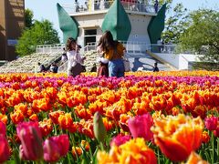 富山・高岡から氷見・砺波・南砺の五月の連休祭りだらけの旅（四日目）～富山の小京都、城端から福光・砺波へ。城端曳山会館でしっとり情感あふれる曳山祭りに触れた後は、一転、輝く日本一のチューリップフェアを堪能です～