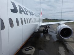 ９年ぶりのバリ島！お初のスカルノ・ハッタ空港でうまく乗り換えられるのか？出発編