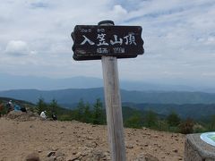入笠山登山(3) 　野花を求め