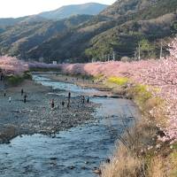 河津桜と景色・温泉は絶好調でも、食事はお値段どおり