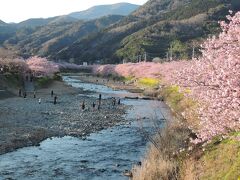 河津桜と景色・温泉は絶好調でも、食事はお値段どおり