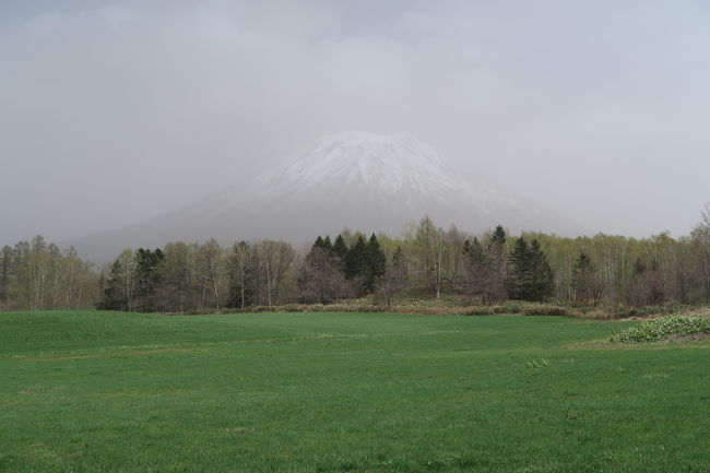 きれいな羊蹄山＆積丹ブルーは見えるのか？（洞爺湖〜真狩〜積丹半島〜札幌）