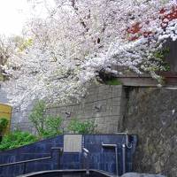 松之山・赤湯・蔵王・青根・妙高　温泉と桜と新緑をめぐる旅（４）赤湯温泉　上杉の御湯　御殿守