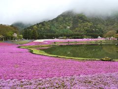富士本栖湖の芝桜まつりと浅間大社