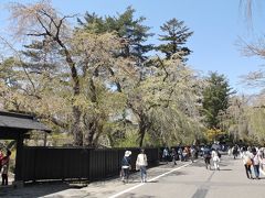 秋田県の角館へ行ってきました・・・