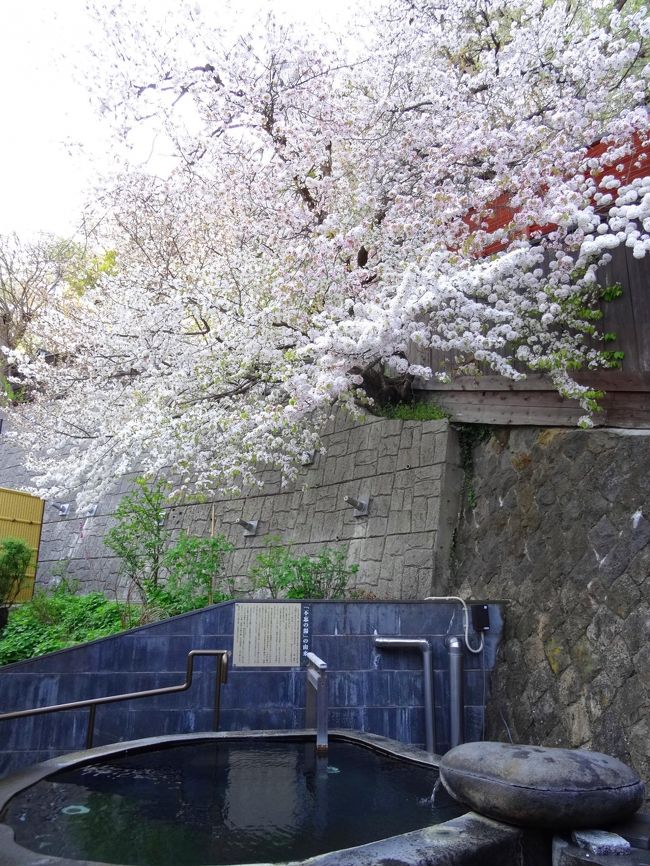 松之山・赤湯・蔵王・青根・妙高　温泉と桜と新緑をめぐる旅（４）赤湯温泉　上杉の御湯　御殿守