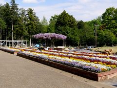 【近郊38】2017.4埼玉出張ドライブ-毎年春の仕事，江南へ．埼玉県農林公園