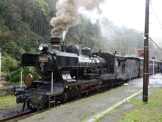 今年は新しい観光列車「かわせみ・やませみ」も登場した肥薩線、桜満開の週末。しかし、その日はあいにくの雨、果たして今年の撮影はいかに？