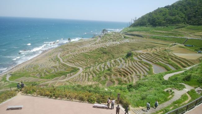 日頃仕事が超忙しい旦那様と久々の温泉旅。<br />半年前から予約していた珠洲温泉の露天風呂付き客室は想像以上に快適で、親切な能登の人々や大自然に癒されました。<br />能登地震以後初めての訪問でしたが、朝ドラ「まれ」の効果もあり観光客でとても賑わっていました。