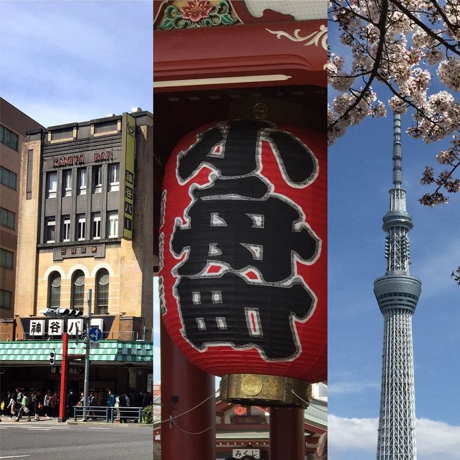 浅草で、老舗のランチを食べて来ました。<br />まだ桜も咲いていて、お花見も出来ました♡