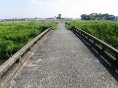 早朝ウォーキング・・・⑦－3　久喜菖蒲公園からウォーキングで野草や自然の営みを感じながら帰ります