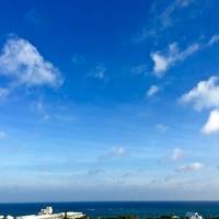 沖縄本島ドライブ紀行。（その1──美ら海水族館・本島中部）