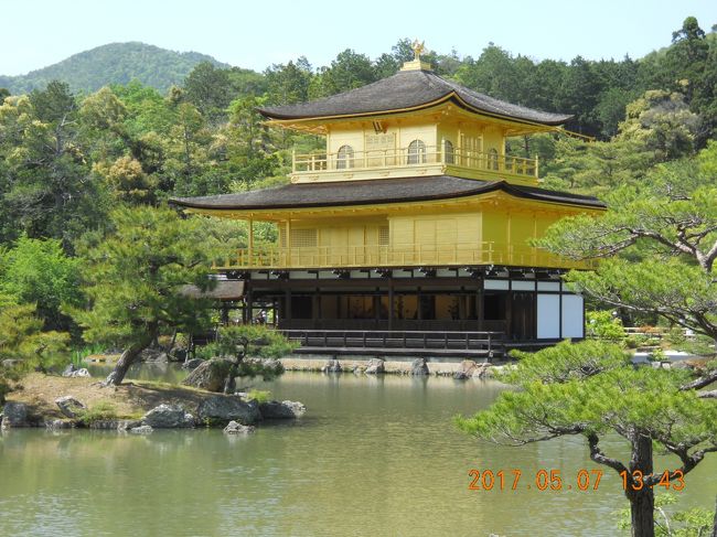 新緑の京都や延暦寺に行きたく今回の旅行を計画した。<br />５月７日は金閣寺を観光してその足で宿泊先「東急ハーヴェスト鷹峯」へ<br />翌８日は延暦寺へ電車、ケーブル、ロープウエイと乗り継ぎ比叡山山頂よりシャトルバスにて延暦寺東塔エリアを巡った。<br />９日はハーベスト近辺の寺院を散策、初夏の新緑を満喫した。