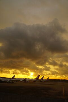 灼熱のスリランカ（1）5年がかりのジェフリー・バワの建築を巡る計画はスリランカ航空の直行便でコロンボin コロンボoutの2週間。