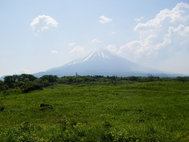 梅雨入りする前にどこか涼しくて快適な場所に行こうと思い、久しぶりに富士五湖を訪れました。<br /><br />---------------------------------------------------------------<br />スケジュール<br /><br />　5月31日　自宅－（自家用車）大月IC－朝霧高原－本栖湖－西湖－河口湖－山中湖－山中湖傍日帰り温泉－自宅　　<br />