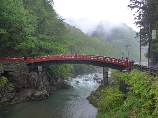 生憎のお天気の中を日光を中心に観光してきました。<br />行きは東京駅から新幹線・なすの2253号で那須塩原駅まで行き栃木の友人と<br />車でいろは坂を上って戦場ヶ原・華厳の滝・田母沢御用邸記念公園・屋台のまち中央公園を観て東京に戻りました。<br />各地区の観光説明員から新緑の時期は雨の日光が一番きれいに観れると言われました。<br />確かに緑の葉は垂れて面積が広くなり青々と観る事が出来、葉っぱの雫も輝いていました。<br />この時期、とてもお花も綺麗に咲いていてとても良い観光をする事が出来ました。<br />美味しいお蕎麦そして栃木と言えば餃子が有名なので食して来ました。<br />表紙の写真は「日光東照宮・神橋」です。