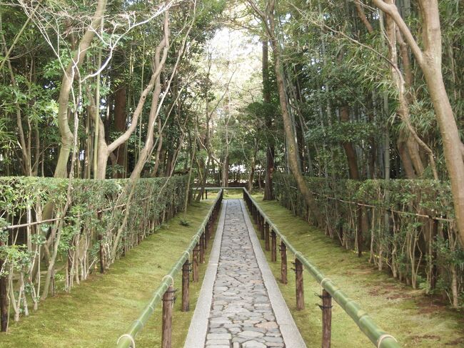 冬の京都の旅、一日目の午後は大覚寺塔頭の高桐院、秋の紅葉の美しさと苔の対比が有名なお寺で、真冬の季節は色彩が乏しいと期待せずに訪問しました。<br /><br />今宮神社は素敵な御朱印と、参道のあぶり餅が有名で、あぶり餅のことはずっと前から知ってましたが、旅に出るまで神社の名前も覚えていませんでした。いやいや、食欲って恐ろしい。<br /><br />建勲神社は信長を祀った神社、こちらも存在すら知らず、最近は刀剣乱舞の影響で、参拝者が増えているそうです。<br /><br />旅の初日から、歩く歩く!!