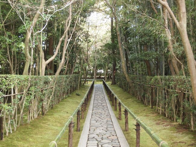 冬の京都ひとり旅【２】一日目・大覚寺塔頭高桐院・今宮神社とあぶり餅・建勲神社