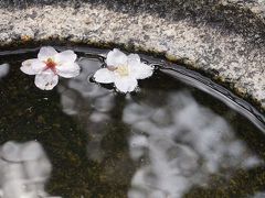 関西散歩記～2017 大阪・高槻市編～