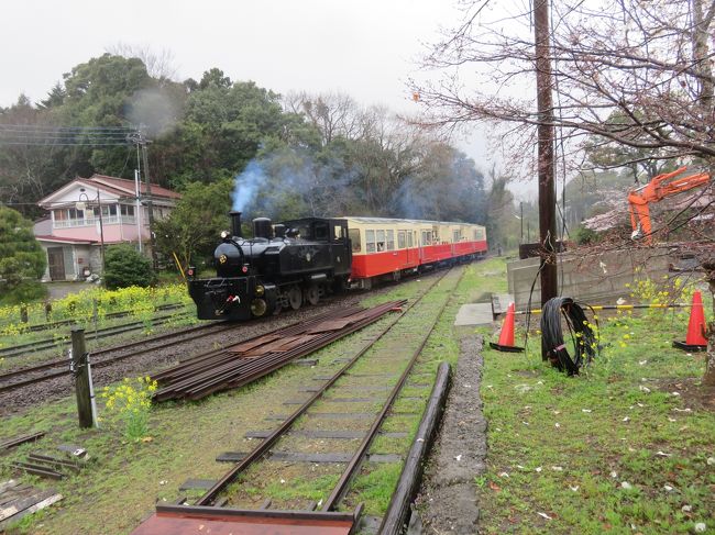 春休みに、いすみ鉄道に乗った妹が、今度は、小湊鉄道のトロッコ列車に乗ると言う。<br /><br />そんなの予約を取るのが大変なんでしょ？<br /><br /><br />小湊鉄道のＨＰより整理券を申し込みをしてみた。<br />菜の花の時期なのに、そんなに混んでいなかった。<br /><br />ただ、申し込みから乗車予定日の１０日後は、雨が降りそうかな？<br /><br /><br />雨でした。<br /><br />往路養老渓谷駅から牛久まで、トロッコ車両で、窓がない。<br />窓口で、変更できました。<br /><br />お天気が悪かったから、お客さん少なかったかも。<br /><br />小湊鉄道ＨＰ<br />http://www.kominato.co.jp/satoyamatorocco/#home