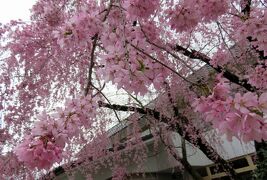 2017春、新潟・福島の名城(10/27)：4月20日(1)：会津若松城(1/7)：会津若松のホテル