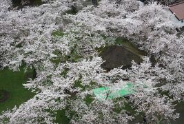 2017春、新潟・福島の名城(13/27)：4月20日(4)：会津若松城(4/7)：城内展示品