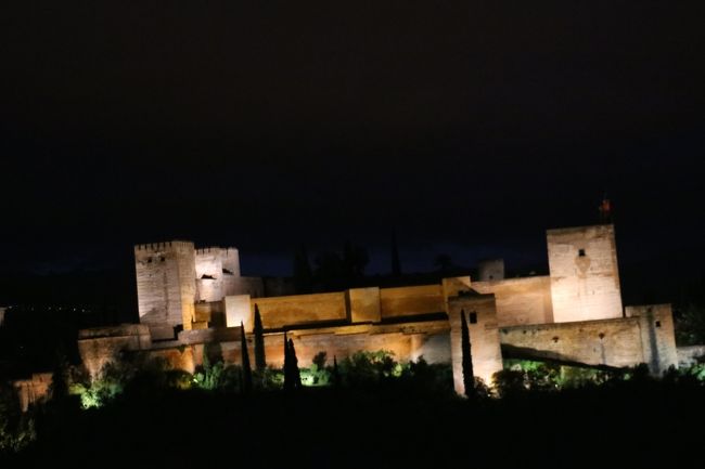 情熱のアンダルシア「祭り」を巡る旅(２)  グラナダ　「アルハンブラ宮殿」は夜景も内部もすごい