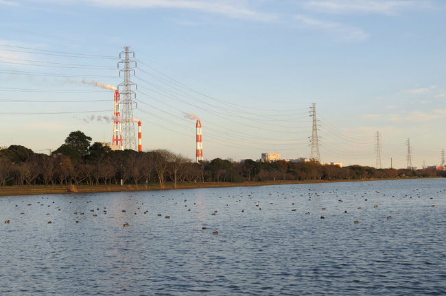 神栖市の神之池（神之池）緑地公園でバードウォッチングを楽しみました。<br /><br />表紙画像は、神之池と鹿島臨海工業地帯の風景です。<br />