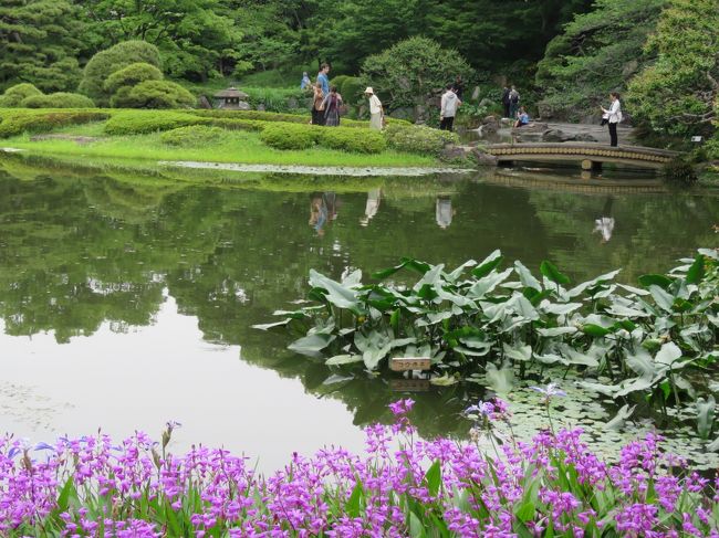 5月16日、午後1時半に自宅を発ち、午後3時に皇居・東御苑に到着した。 訪問目的は初夏の野草やバラ等の花木類を見るためである。 この時期としては花の種類としては少ない時期であるが、新緑と季候的にも良い時期であったので思い立った。<br /><br /><br /><br />*写真は二の丸庭園の二の丸の池・・・シランが見ごろであった