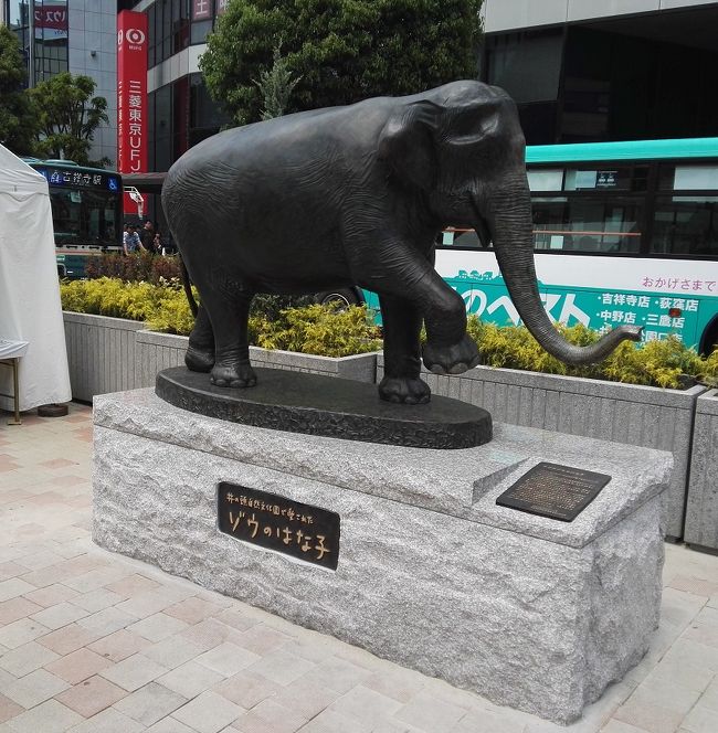 吉祥寺北口の駅前広場にゾウのはな子の像ができました。はな子、本象が亡くなったのは、残念ですが、象の像があると時々思い出します。<br /><br />井の頭文化園に遠足に行って、はな子に会った子供の頃が懐かしいです。