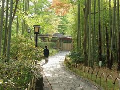 №1　関東ぐるーと一周ドライブの旅へ！　（静岡県～千葉県～茨城県～栃木県～山梨県）　　第1～2日目【静岡県編】日本平・久能山東照宮・修善寺温泉を巡ります