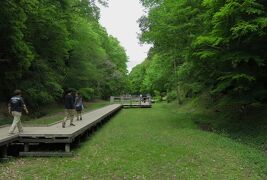 2017春、神奈川と千葉の寺社(14/14)：5月6日(7)：濃溝の滝から・海ほたる経由名古屋へ