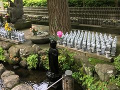親孝行（？）　初夏の鎌倉へ　with‘なちょ’