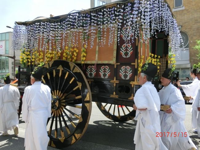 ５月１５日、京都三大祭りの一つ「葵祭」の行列を初めて見に行って来ました。<br />最適の観覧スポットは、京都御所の建物や東山連峰を背景に進む行列を観覧できる京都御苑内と知り、私達も随一のスポットで観覧し、写真に収める予定でした。<br />ところが、京都御所目指し丸太町通を歩み始めると、まだ京都御所出発時刻の4０分前だというのに歩道沿いは大勢の見物人で埋め尽くされています(ー_ー)!!<br />京都御所に行くよりも早く場所取りをした方が良さそう。で、丸太町四条の交差点を少し入った歩道沿いに陣取り見物することに。<br />写真の背景が東山連峰ではなく中央信用金庫となってしまいました( ;∀;)<br /><br />平安王朝の衣装をまとった総勢５１１人、牛馬計４０頭、牛車2基、 輿（みこし）1台で構成され、この行列の長さは約１ｋｍにおよびます。<br />京都御所を出て下鴨神社から上賀茂神社まで延々８ｋｍもの道のりを練り歩きます。<br />この行列を「路頭の儀」といい、葵祭の最大のイベントです。<br /><br />葵祭は、下鴨神社（正式名称・賀茂御祖神社）と、上賀茂神社（賀茂別雷神社）の、豊かな収穫や国の平安を祈る例祭で、正式には「賀茂祭」といいます。<br />なぜ「賀茂祭」が「 葵祭」と呼ばれるようになったのかは、御所車、勅使、供奉者の衣冠など全てを葵の葉（フタバアオイ）で、 飾ったことに由来します。<br />起源は、６世紀半ばに起こった飢饉をきっかけに欽明天皇によって始められました。<br />*******<br />JR京都駅中央口前バス総合案内所でもらった行列のコース・時間を書いたチラシを参考にして歩きました。<br />京都御所出発（１０：３０）堺町御門→丸太町通→河原町通（１１：００）→下鴨神社到着（１１：４０）＜社頭の儀１２：００－１４：００＞出発（１４：２０）→下鴨本通→洛北高校前→北大路通→北大路橋→賀茂川堤→上賀茂神社到着（１５：３０）<br />*******<br />好天に恵まれての葵祭。王朝装束を身にまとい厳かで静かな行列を目の当たりにして感激、そして祭りを十分に楽しんできました。<br />