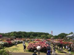 京成バラ園～色彩と香りの花園