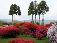 小田急 山のホテル（三本杉）