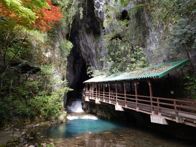 子どもたちに和歌山パンダランド（アドベンチャーワールドのことです）とうさぎ島、どっちに行きたい？と聞いたら迷わずうさぎ島との答え。うさぎならうちでも飼っているので毎日見ているはずなのに・・・パンダのように白黒の牛がたくさんいる我が家、パンダは見飽きてる！？<br /><br />５/２　直行便で広島へ<br /><br />５/３　秋芳洞、別府弁天池、青海島巡り<br /><br />５/４　元乃隅稲成神社、ムーバレー<br /><br />５/５　世界遺産・宮島<br /><br />５/６　うさぎ島、トムミルクファーム、尾道街歩き<br /><br />５/７　北海道へ