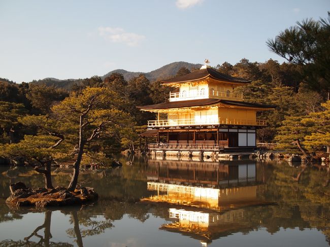 今回の冬の京都の旅は、京都観光の王道を織り込んむプラン。<br />まず一日目の王道は修学旅行以来四十数年ぶりの金閣寺。<br /><br />桜の咲く観光ハイシーズン、予想はしていましたが、たくさんの観光客であふれ、８割が外国人でした。<br /><br />歩いてわら天神に行くと参拝者３人という、金閣寺の大混雑とのギャップに笑いが出るほど。<br /><br />そして桜で有名な平野神社は、なんと真冬でも咲く桜に出会いました。<br /><br />