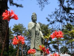 ツツジとルピナスを求めて～塩船観音寺＆森林公園～