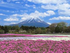 №5　関東ぐるーと一周ドライブの旅へ！　（静岡県～千葉県～茨城県～栃木県～山梨県）　第5～6日目【山梨県編】河口湖・山中湖花の都公園・山中湖長池親水公園・鳴沢氷穴・富岳風穴・富士芝桜まつりを巡ります