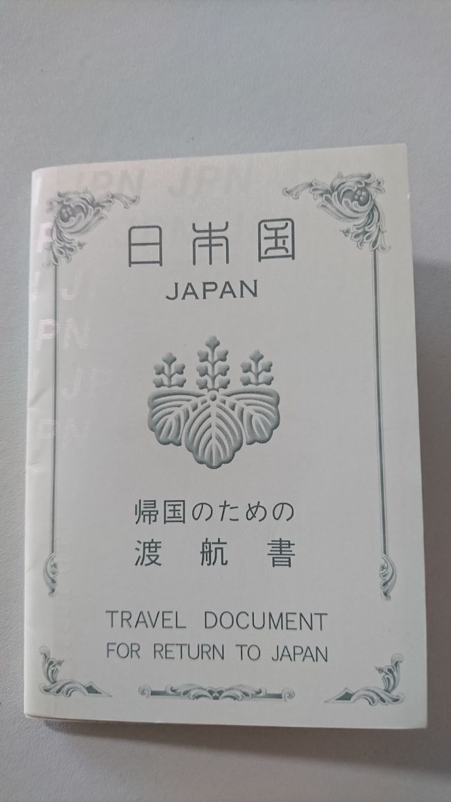 18回目のラスベガスにしてやってしまいました。パスポート紛失です・・・。お恥ずかしい話なので書くかどうか迷いましたが、大変な思いをしましたので、他山の石としていただきたく、あえて記載します。最後にちょこっとだけカジノ編を記載します。