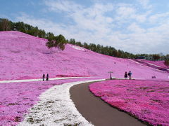 東藻琴芝桜公園の見事なおピンクちゃん