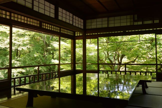 ２０１７年５月　緑溢れる幻想的な京都日帰り旅（前編）～「瑠璃光院」特別拝観～「ジョバーノ」でイタリアンブッフェランチ～